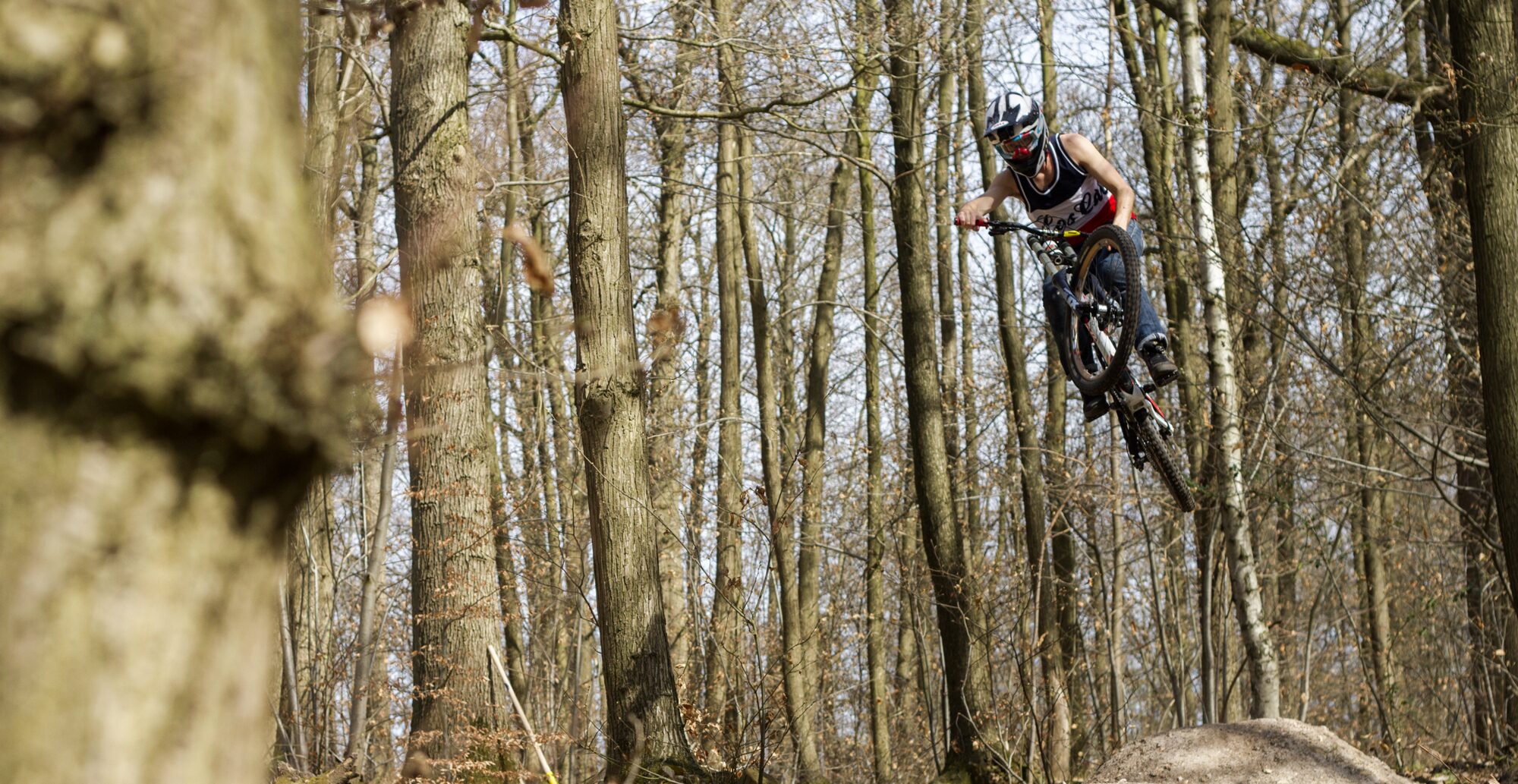 Saut en forêt